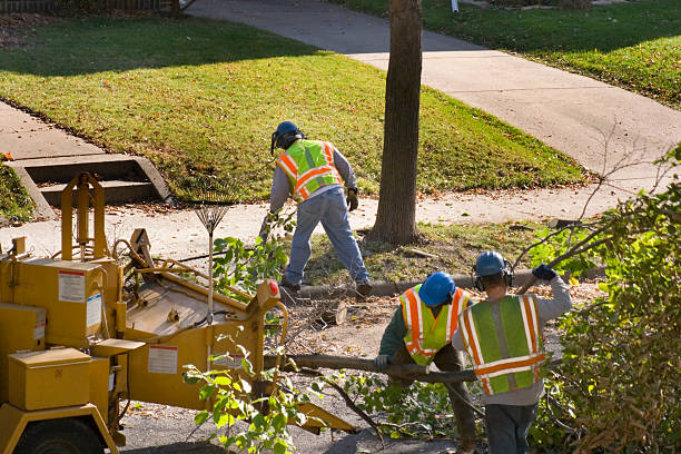 Best Weed Control  in Harper Woods, MI